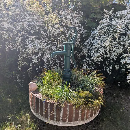 Апартаменты Duenenschloesschen Шпикерог